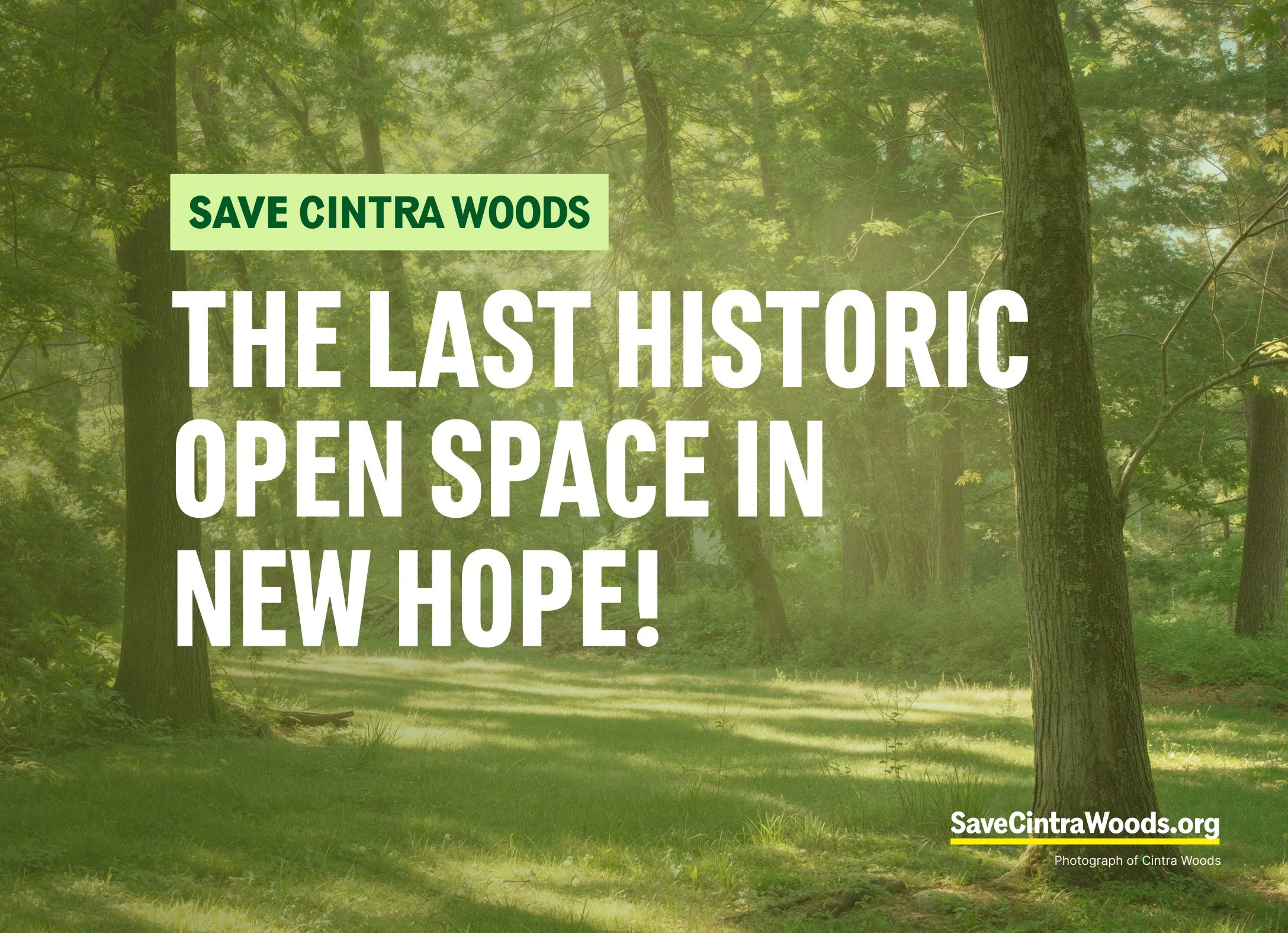 5 × 7 postcard front: a sunlit clearing in Cintra Woods with the headline “The last historic open space in New Hope!”